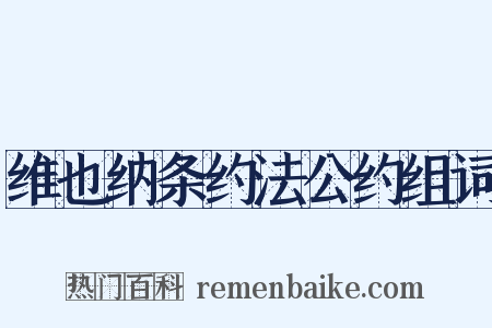 维也纳条约法公约组词是什么意思的图片